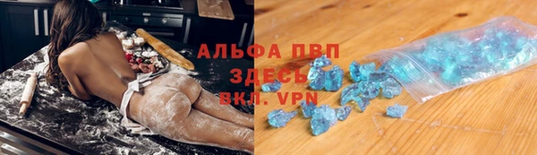 прущие грибы Богородск