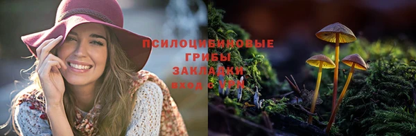 первитин Богородицк