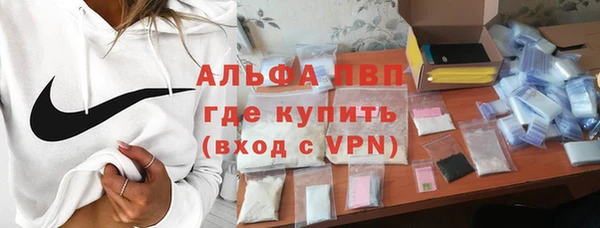 прущие грибы Богородск
