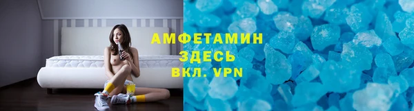 прущие грибы Богородск