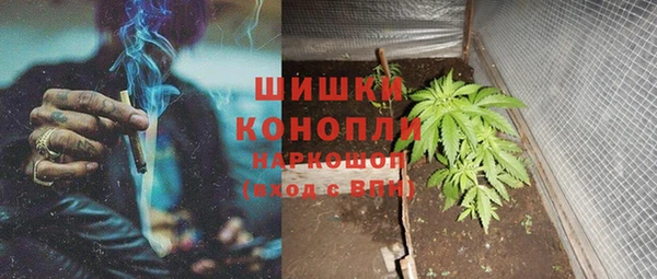 прущие грибы Богородск