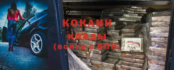 прущие грибы Богородск