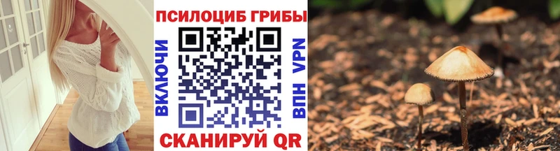 shop состав  kraken   Берёзовка  Галлюциногенные грибы Magic Shrooms 